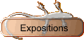 Expositions
