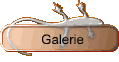 Galerie