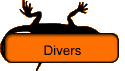 Divers