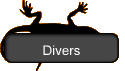Divers